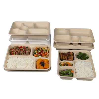 Les plateaux biodégradables rectangulaires jetables de bagasse de canne à sucre emportent des plateaux avec des couvercles
