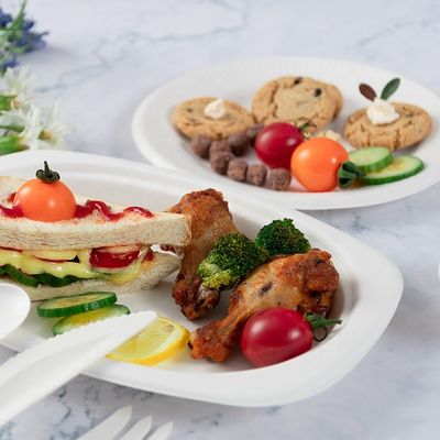 Plats jetables écologiques de vaisselle compostable 100% biodégradable verte de partie