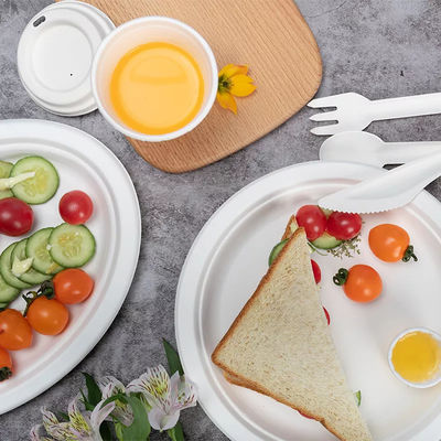 Plats jetables écologiques de vaisselle compostable 100% biodégradable verte de partie