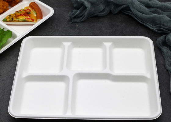 Vaisselle biodégradable jetable de bagasse d'école 6 5 plateau de déjeuner de 3 compartiments