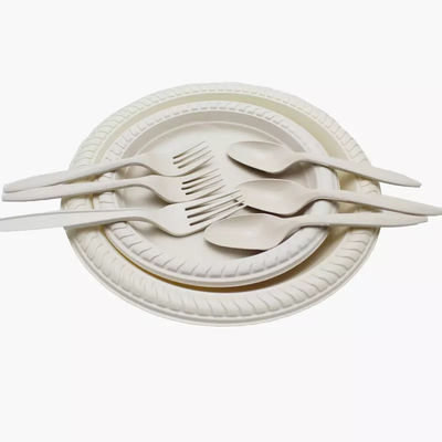 plats jetables de fécule de maïs 10in ronde de 9in biodégradables autour de la vaisselle de plat