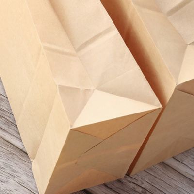 Sac de papier de sucrerie jetable biodégradable de vaisselle de Papier d'emballage sans poignée BSCI