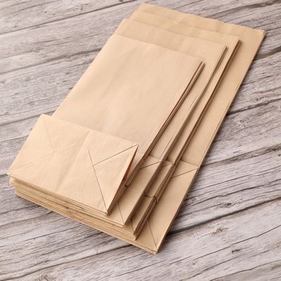 Sac de papier de sucrerie jetable biodégradable de vaisselle de Papier d'emballage sans poignée BSCI