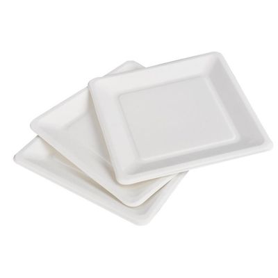 compostable 10in écologique canne à sucre de 9in plaque à papier le plat carré de gâteau de dessert