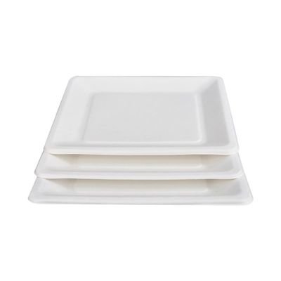compostable 10in écologique canne à sucre de 9in plaque à papier le plat carré de gâteau de dessert