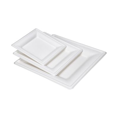 compostable 10in écologique canne à sucre de 9in plaque à papier le plat carré de gâteau de dessert