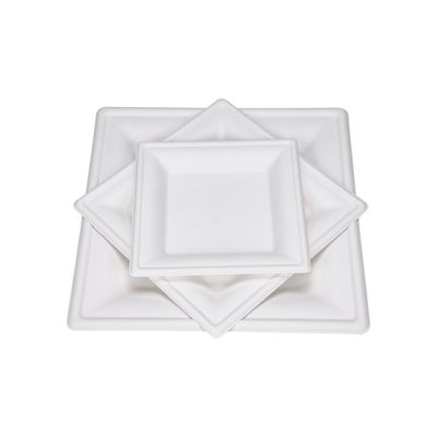 compostable 10in écologique canne à sucre de 9in plaque à papier le plat carré de gâteau de dessert