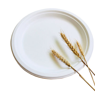 Le plat 10in biodégradable renouvelable Pfas de vaisselle de bagasse de 8in libre sortent des conteneurs