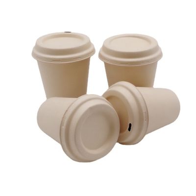 Tasses de café à emporter jetables biodégradables libres de la vaisselle 8oz de bagasse de Pfas de lait