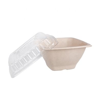 boîtes biodégradables de 16 24 de la canne à sucre 32oz de bagasse de cuvette conteneurs de salade de fruits avec la couverture