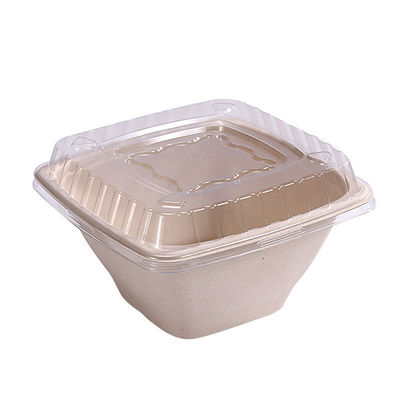 boîtes biodégradables de 16 24 de la canne à sucre 32oz de bagasse de cuvette conteneurs de salade de fruits avec la couverture