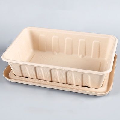 aliments de préparation rapide Eco de bagasse de 450ml 550ml de salade biodégradable naturelle de vaisselle à aller conteneurs
