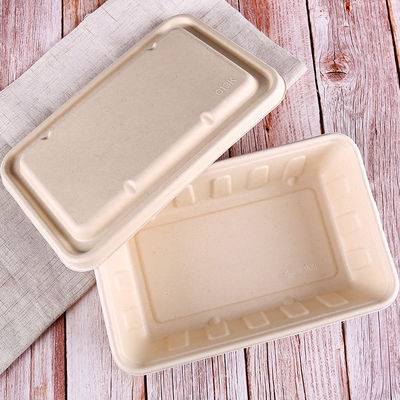 aliments de préparation rapide Eco de bagasse de 450ml 550ml de salade biodégradable naturelle de vaisselle à aller conteneurs