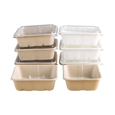 aliments de préparation rapide Eco de bagasse de 450ml 550ml de salade biodégradable naturelle de vaisselle à aller conteneurs