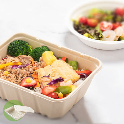 aliments de préparation rapide Eco de bagasse de 450ml 550ml de salade biodégradable naturelle de vaisselle à aller conteneurs