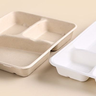 Les plateaux biodégradables rectangulaires jetables de bagasse de canne à sucre emportent des plateaux avec des couvercles