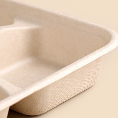 Les plateaux biodégradables rectangulaires jetables de bagasse de canne à sucre emportent des plateaux avec des couvercles