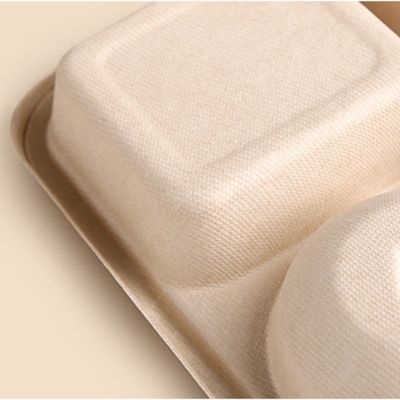 Les plateaux biodégradables rectangulaires jetables de bagasse de canne à sucre emportent des plateaux avec des couvercles