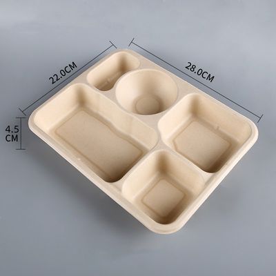Les plateaux biodégradables rectangulaires jetables de bagasse de canne à sucre emportent des plateaux avec des couvercles