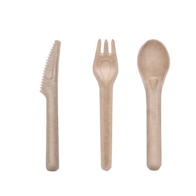 Fourchettes compostables jetables écologiques et cuillères des couverts 141.7mm de bagasse biodégradable