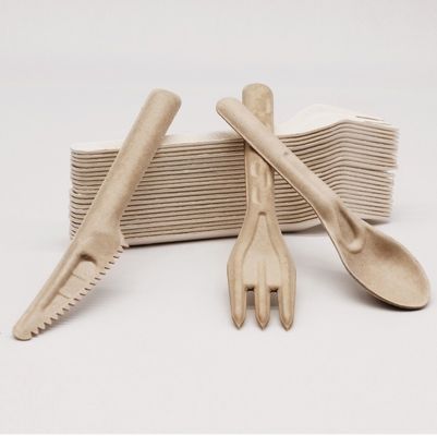 Fourchettes compostables jetables écologiques et cuillères des couverts 141.7mm de bagasse biodégradable