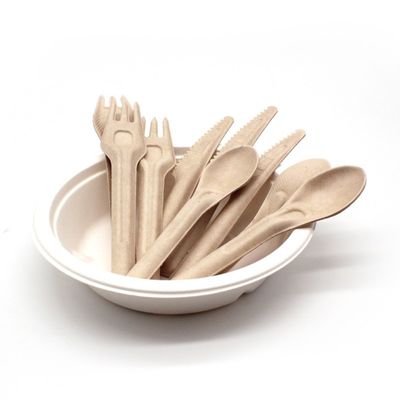 Fourchettes compostables jetables écologiques et cuillères des couverts 141.7mm de bagasse biodégradable