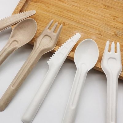 Fourchettes compostables jetables écologiques et cuillères des couverts 141.7mm de bagasse biodégradable