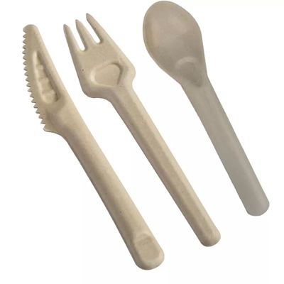 Fourchettes compostables jetables écologiques et cuillères des couverts 141.7mm de bagasse biodégradable