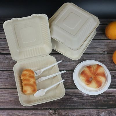 plats jetables sûrs de fête d'anniversaire de bloc supérieur de bagasse de micro-onde à emporter des conteneurs 800ml