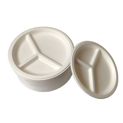 Plats jetables écologiques de vaisselle compostable 100% biodégradable verte de partie