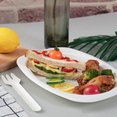 Plats jetables écologiques de vaisselle compostable 100% biodégradable verte de partie