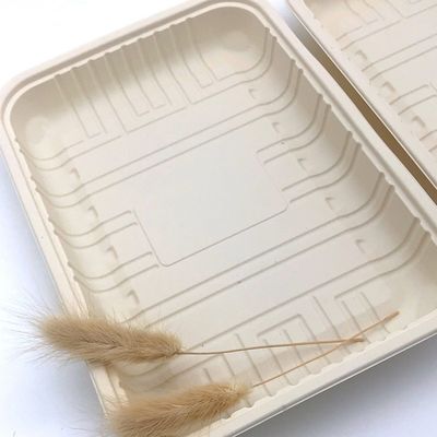 Aliments surgelés Tray Container de viande de vaisselle scellable biodégradable de fécule de maïs 150mm
