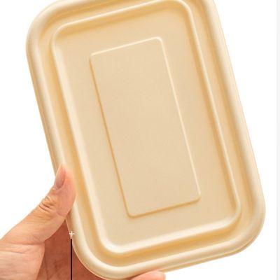 Boîte rapide d'emballage alimentaire de la fécule de maïs 500 600ML de gamelle compostable jetable de repas
